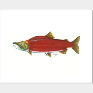 sockeye Posters and Art